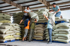 高效搬運服務 人工裝卸、設備搬運與工廠搬遷一體化解決方案